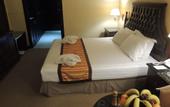 Туры в отель Knight Armour Hotel