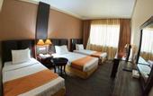 Туры в отель Knight Armour Hotel