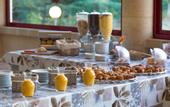 Туры в отель Hotel Aliotel