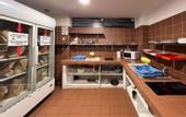 Туры в отель Auberge de Jeunesse HI Nice - Les Camelias