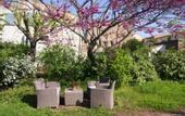 Туры в отель Le Petit Moliere Chambres d'Hotes