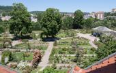 Туры в отель Le Jardin des Roses