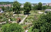 Туры в отель Le Jardin des Roses