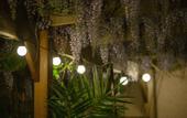 Туры в отель Chez Amis B&B