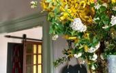 Туры в отель Chez Amis B&B