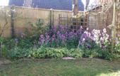 Туры в отель Chambre du Jardin Fleuri