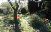 Туры в отель Chambre du Jardin Fleuri