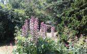 Туры в отель Chambre du Jardin Fleuri