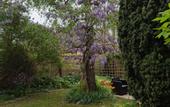 Туры в отель Chambre du Jardin Fleuri
