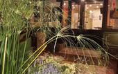 Туры в отель HOTEL ARISTIDE VAUBAN
