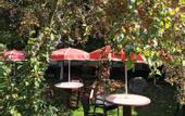 Туры в отель Auberge de la Poirie
