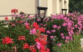 Туры в отель Auberge de la Poirie