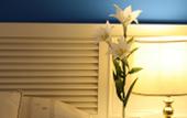 Туры в отель Best Western Hotel Mayorazgo