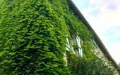 Туры в отель Residence La Borde