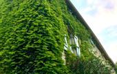 Туры в отель Residence La Borde