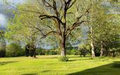 Туры в отель Domaine les Garrigues