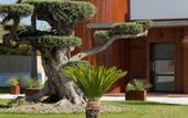 Туры в отель La Villa Miramar