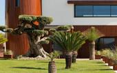 Туры в отель La Villa Miramar