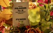 Туры в отель Hotel Pilgrim