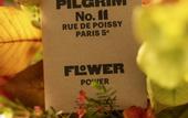 Туры в отель Hotel Pilgrim