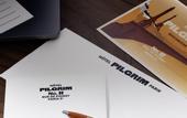 Туры в отель Hotel Pilgrim