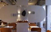 Туры в отель Hotel Pilgrim