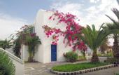 Туры в отель Mediterranean White Resort