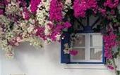 Туры в отель Mediterranean White Resort