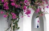 Туры в отель Mediterranean White Resort
