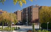 Туры в отель Aparthotel Convencion Barajas