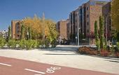 Туры в отель Aparthotel Convencion Barajas