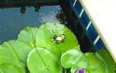 Туры в отель Mei Zhou Phuket