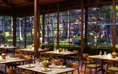 Туры в отель Melia Bali