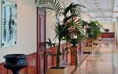 Туры в отель Melia Barajas
