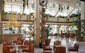 Туры в отель Melia Castilla