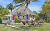 Туры в отель Melia Cayo Guillermo