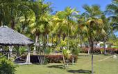 Туры в отель Melia Cayo Guillermo