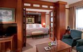 Туры в отель Melia Girona