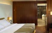 Туры в отель Melia Golf Vichy Catalan