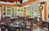 Туры в отель Melia las Dunas