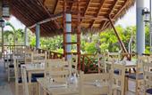 Туры в отель Melia las Dunas