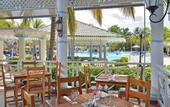 Туры в отель Melia las Dunas