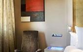 Туры в отель Melia Madrid Princesa