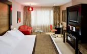 Туры в отель Melia Madrid Princesa