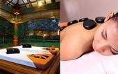 Туры в отель Melia Purosani