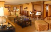 Туры в отель Melia Santo Domingo