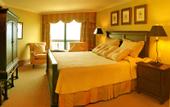 Туры в отель Melia Santo Domingo