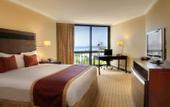 Туры в отель Melia Santo Domingo