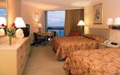 Туры в отель Melia Santo Domingo