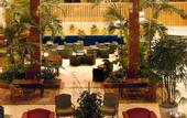 Туры в отель Melia Santo Domingo